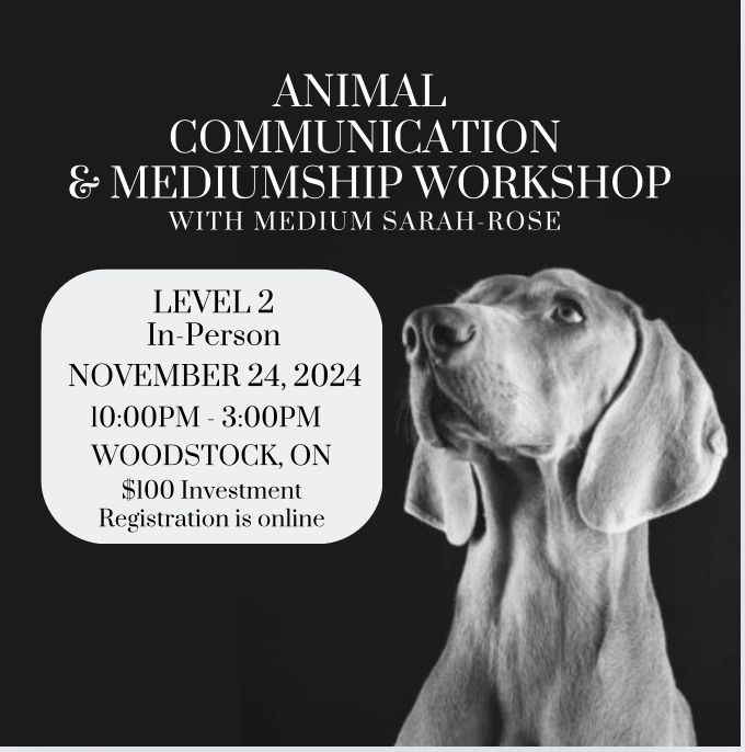 Animal Communication & Mediumship Workshop  Level 2: Deepening the Bond 