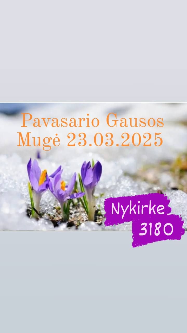 Pavasario Gausos Mug\u0117 23.03.2025\nNykirke 