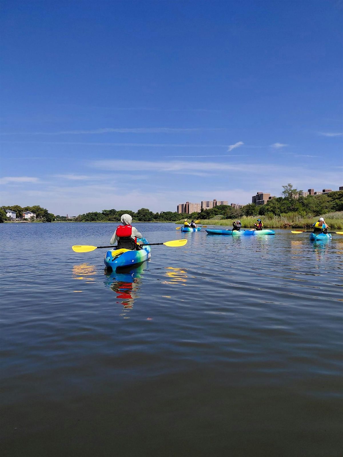 Kayak Tour: Birds on the Bay