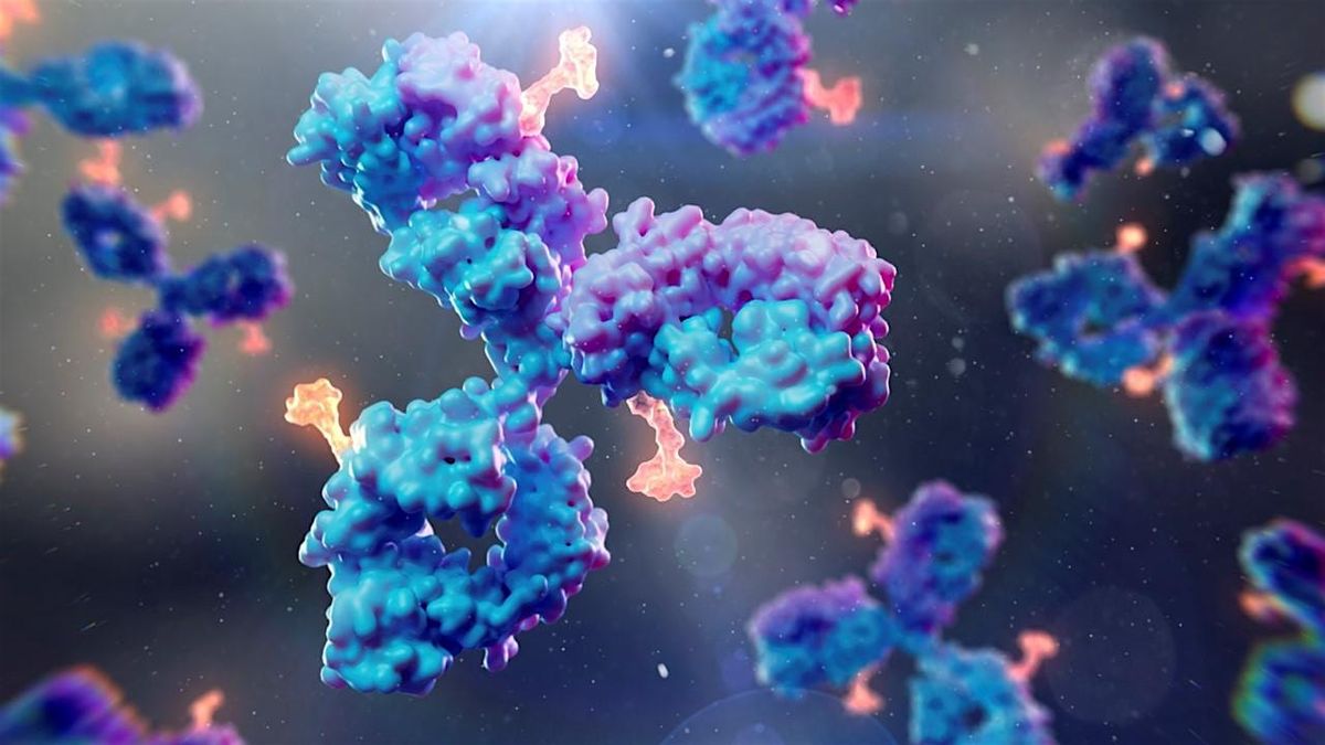 Antibody-Drug Conjugates Under the Lens: Analytical Advances and Insights