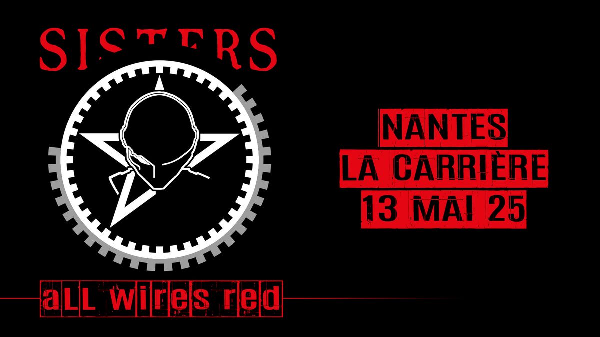 Sisters of Mercy en concert \u00e0 Nantes \u2022 13 mai 2025 - La Carri\u00e8re