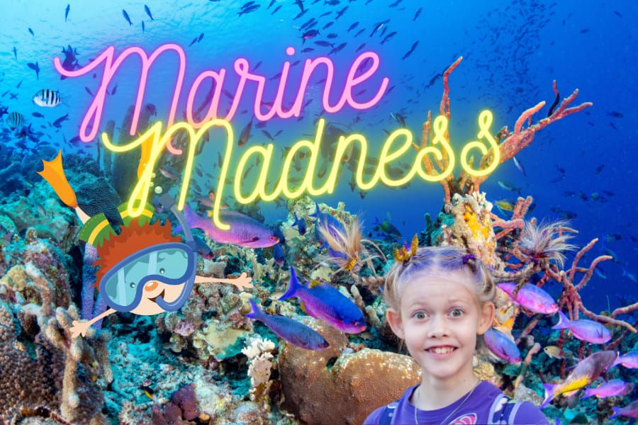 School Holiday Program - Marine Madness