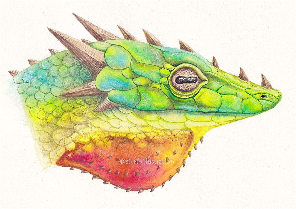 An Introduction to Watercolour Workshops