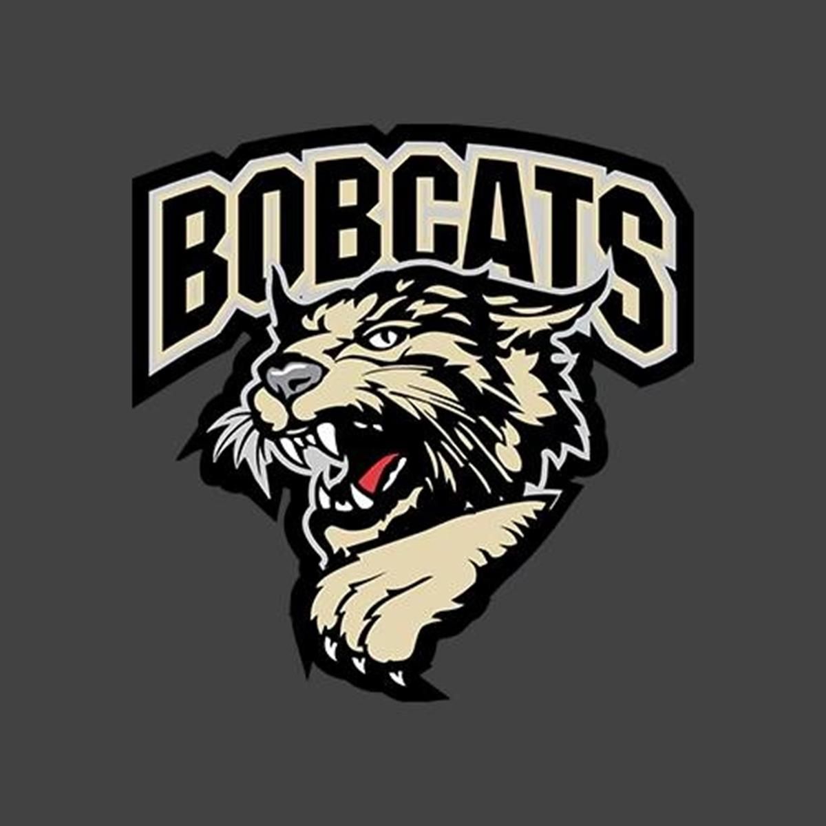 Bismarck Bobcats vs. Austin Bruins