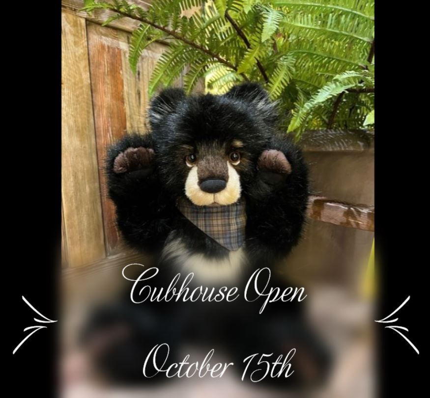 Cubhouse Open Day