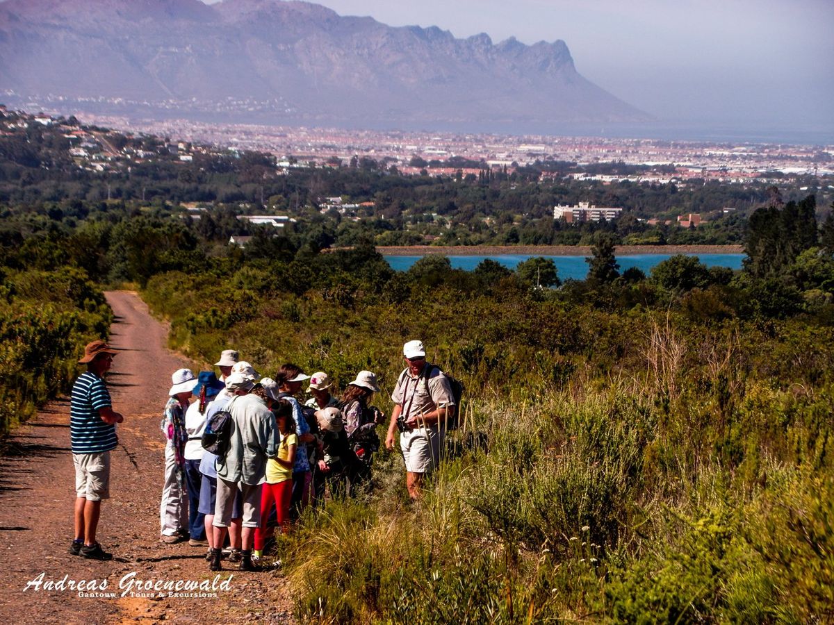 Medicinal Plant Walk