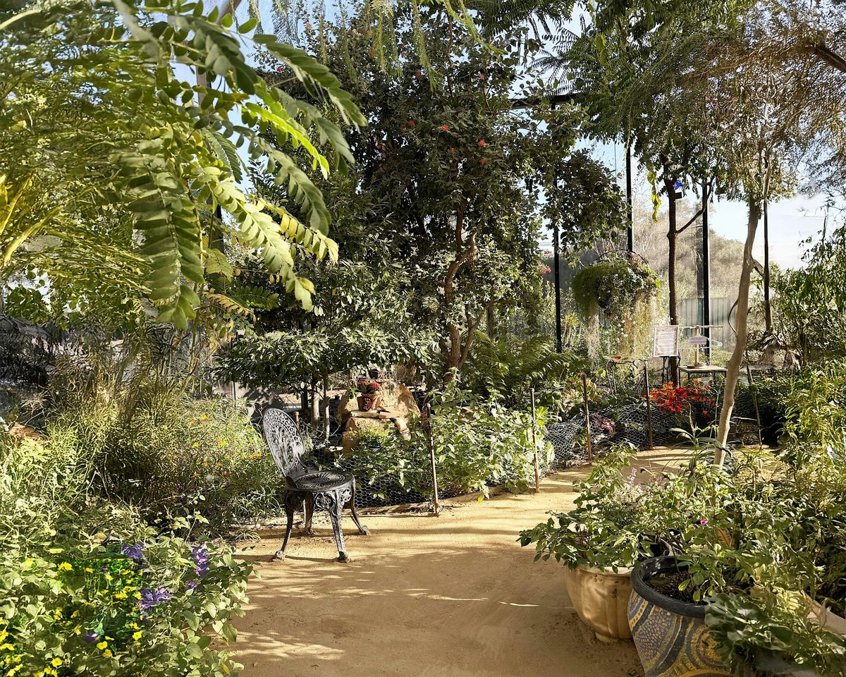 Free Friday's Nature Explorers' Presentation