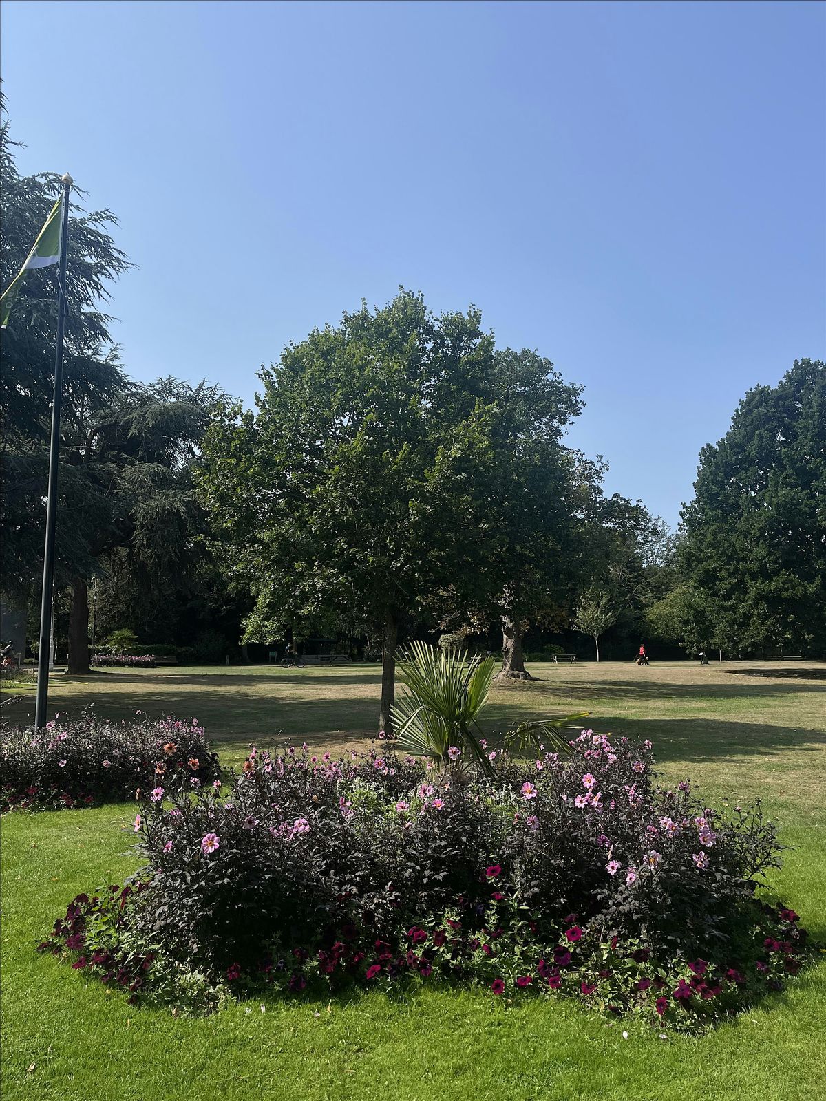Workout in the park with my vision