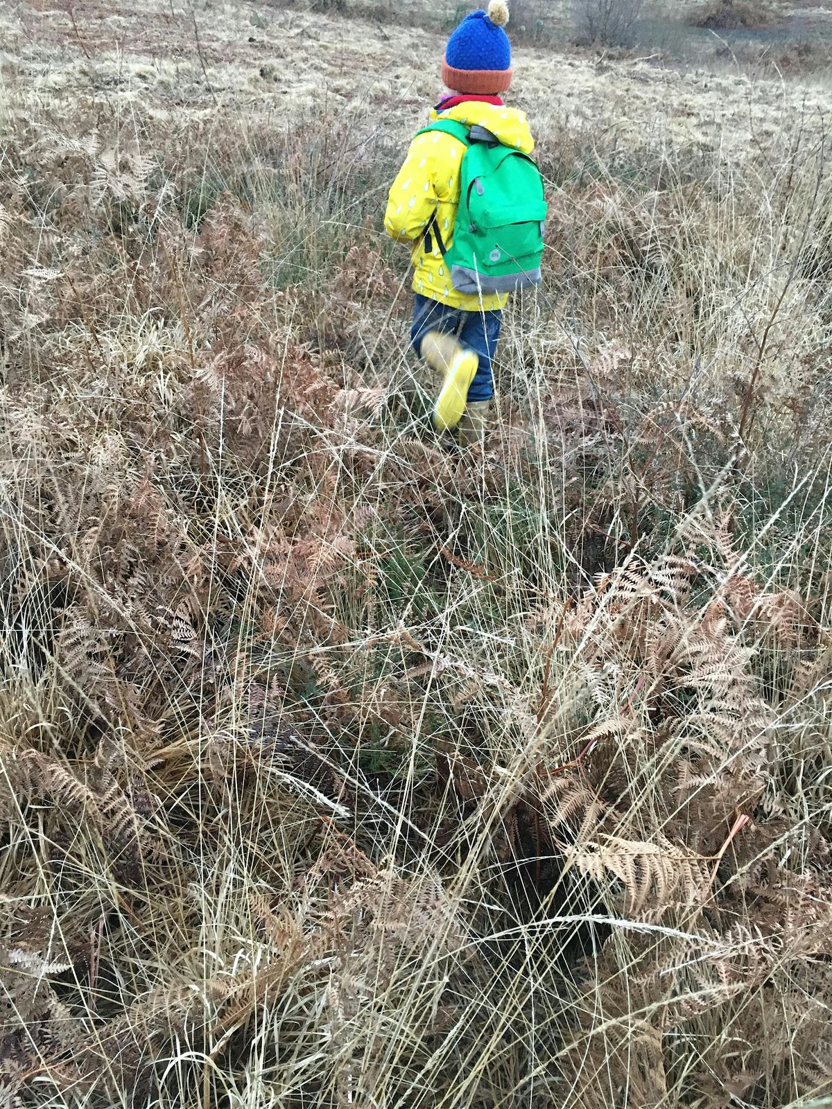 Winter woodland Toddle with Toddlers!  Lewes Railway Lands