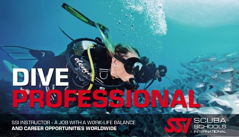 Scuba Savvy Pro Night