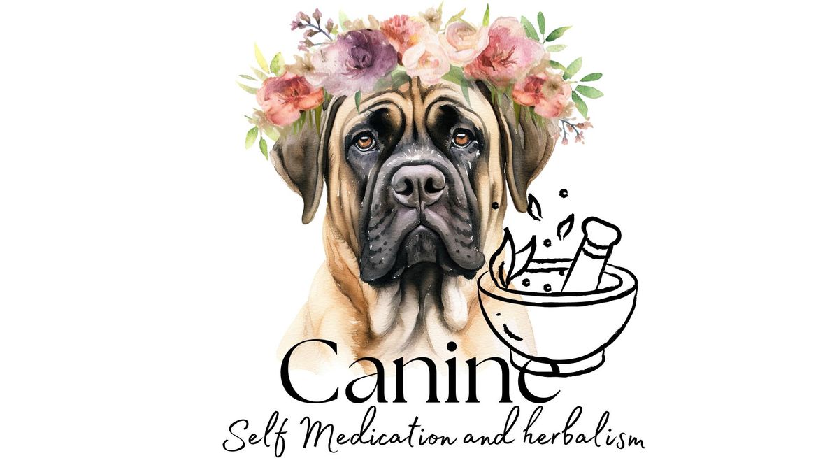 Canine Self Healing and Herbalism