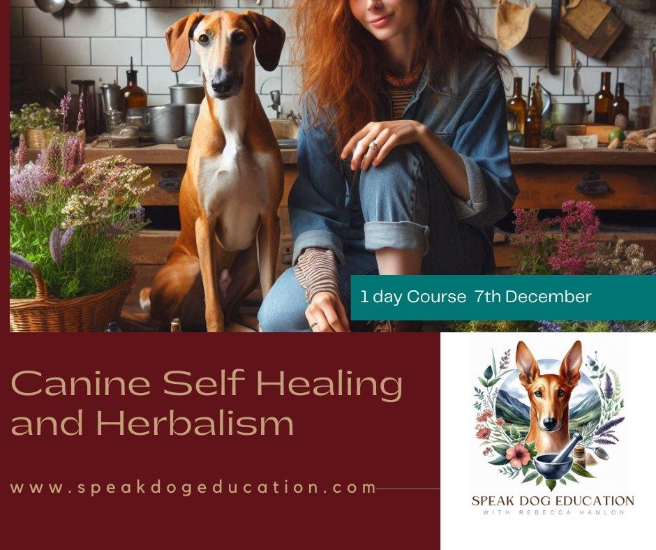 Canine Self Healing and Herbalism