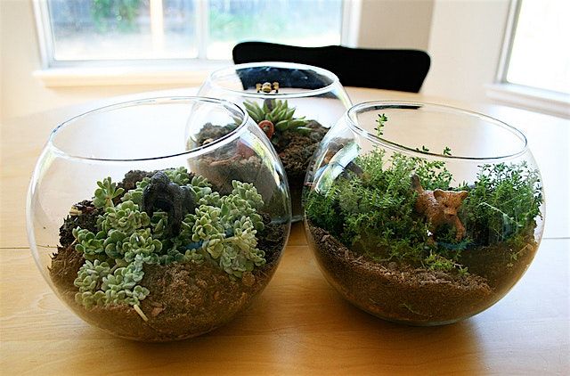 Terrarium Workshop