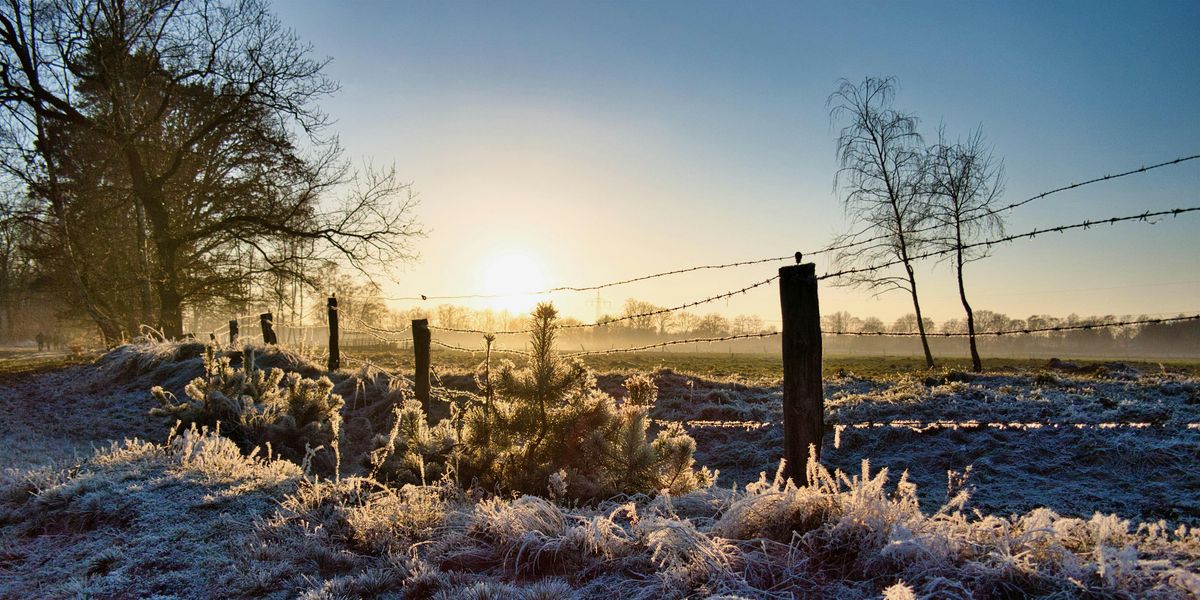 Winter Solstice Celtic Celebration