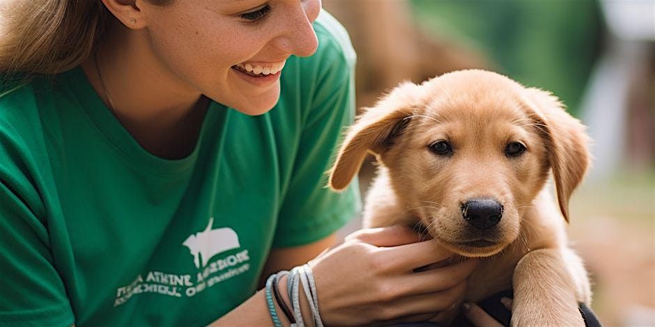 Chipride Volunteering + PAWS Chicago Animal Shelter Event