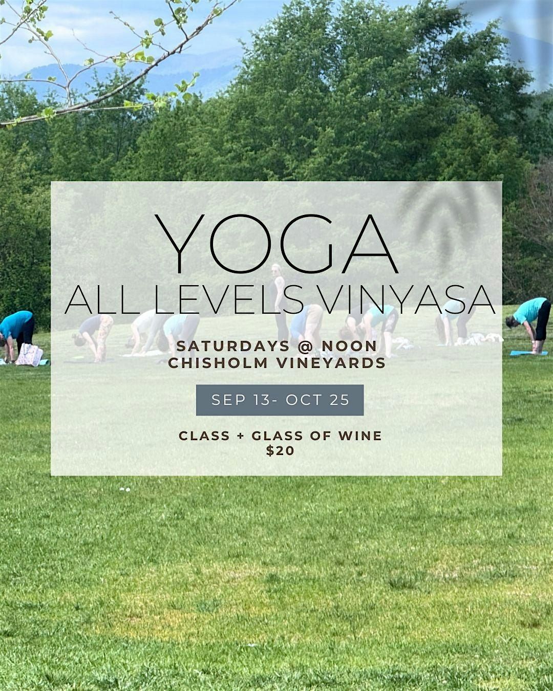 Yoga at the Vineyard