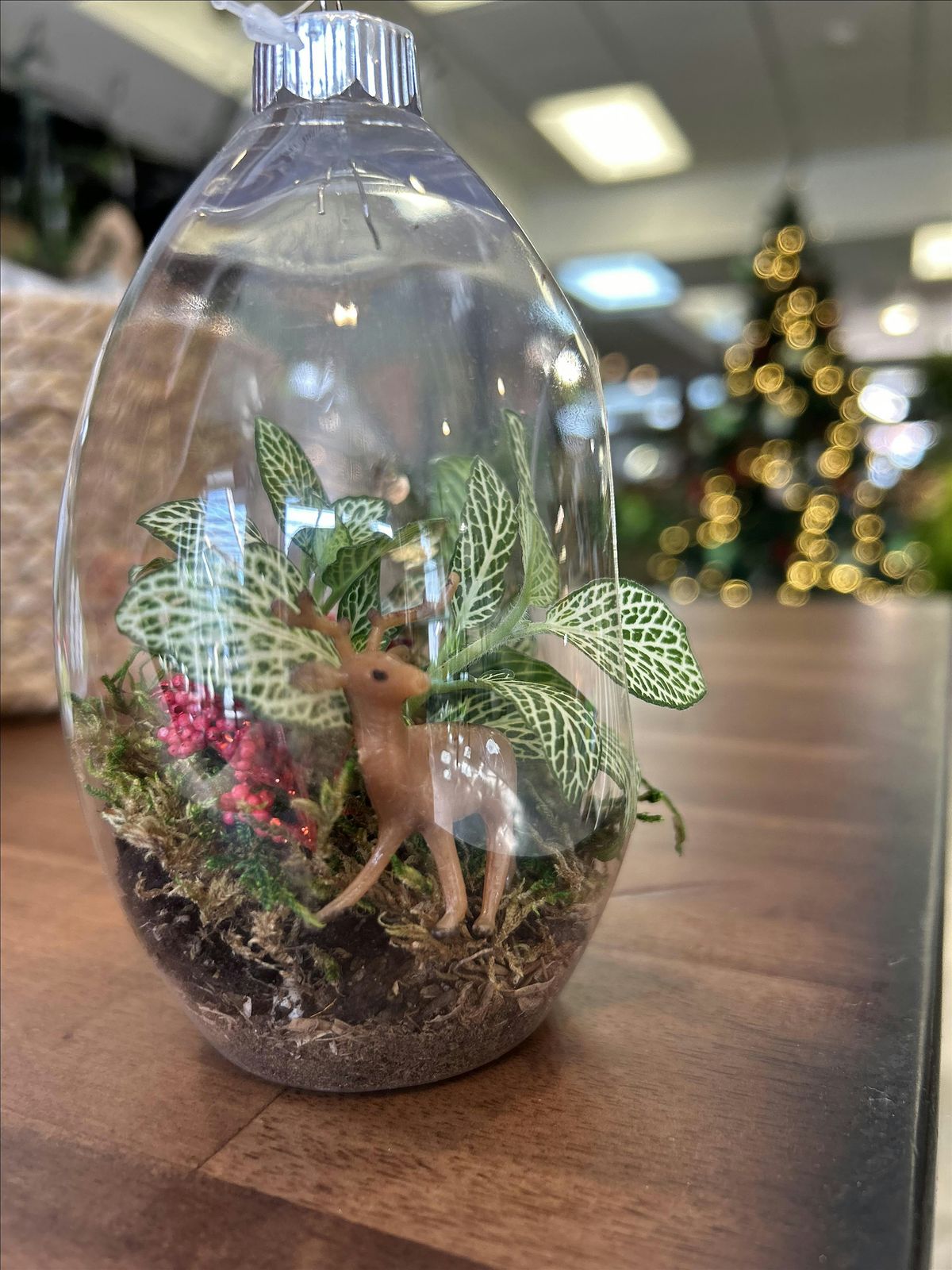 Holiday Terrarium Ornament Workshop