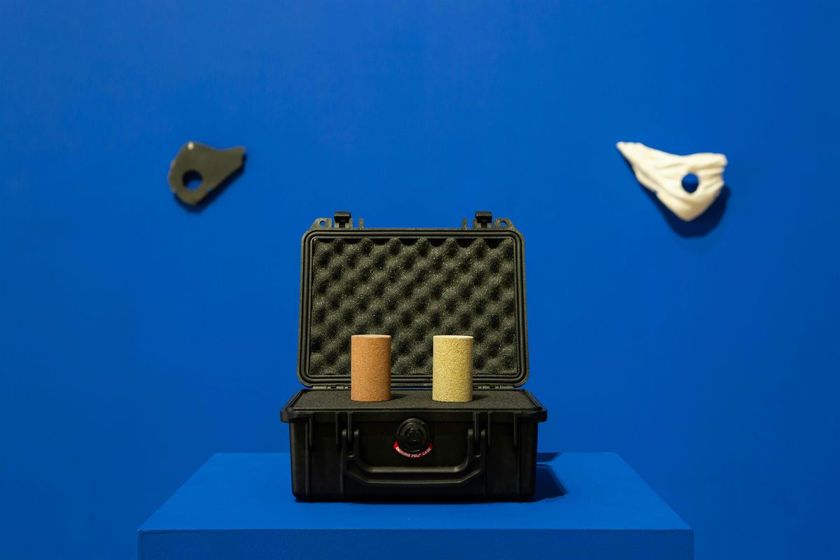 Artist Talk with Stephanie Mann