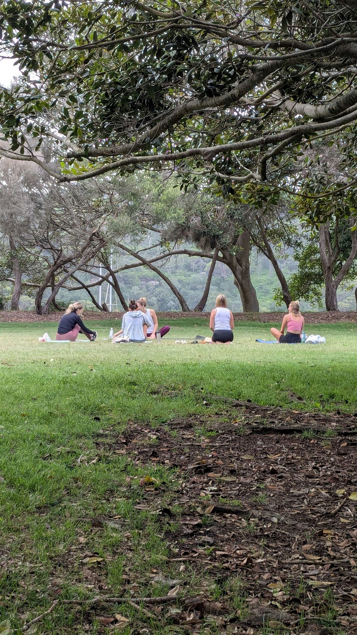 Yoga, Reflect & Connect