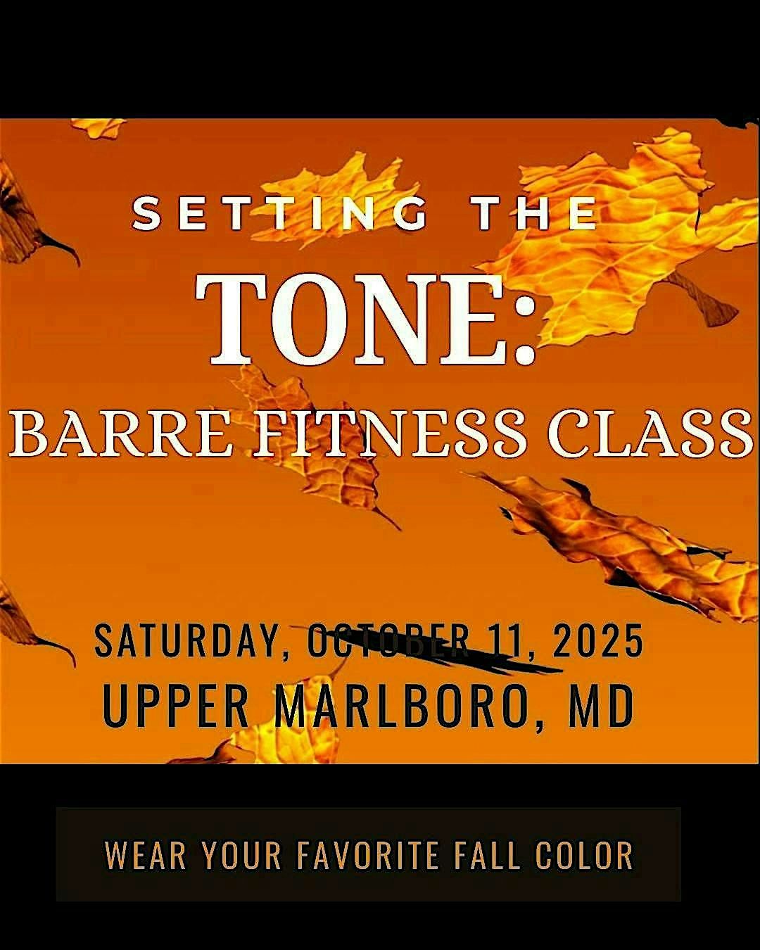 Setting the Tone: Barre Fitness Class