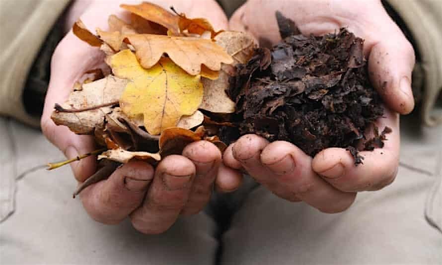 Climate Resilient Gardening