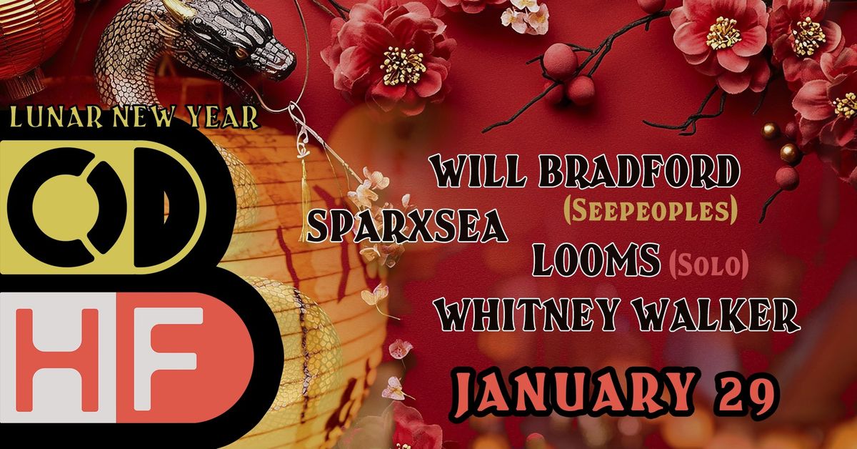 Will Bradford (SeepeopleS) + Looms (solo) + Sparxsea + Whitney Walker at Hi-Fidelity