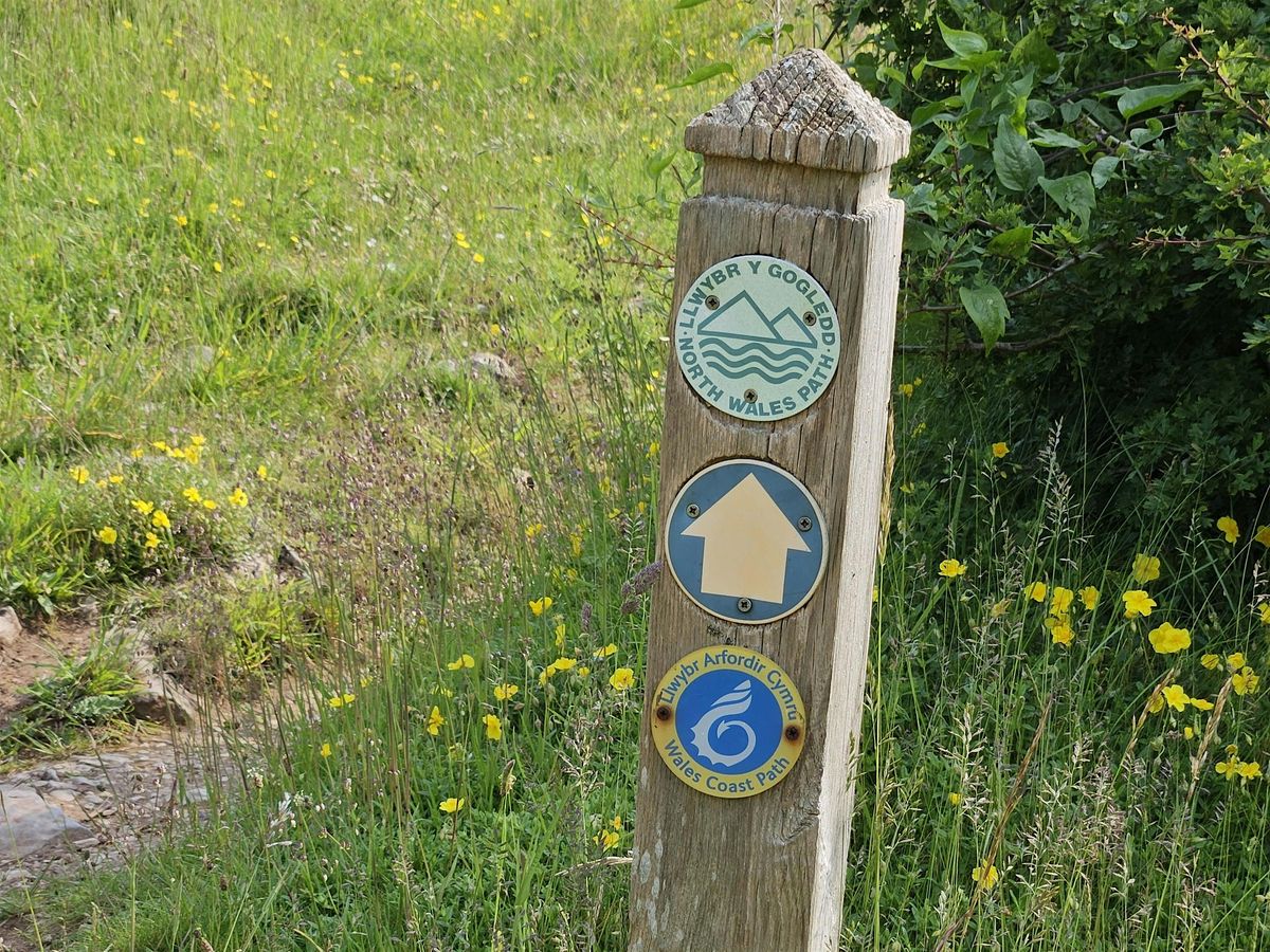 Winter walk at Rhiwledyn Nature Reserve