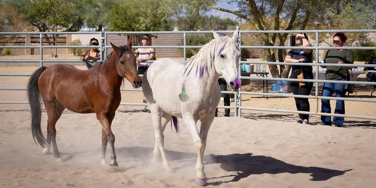 The STABLE Series: Equine Therapy Exercises & Arena EMDR