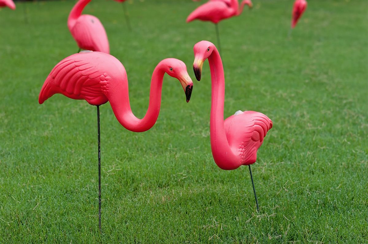 From Kitsch to Creative: Reimagining the Lawn Flamingo