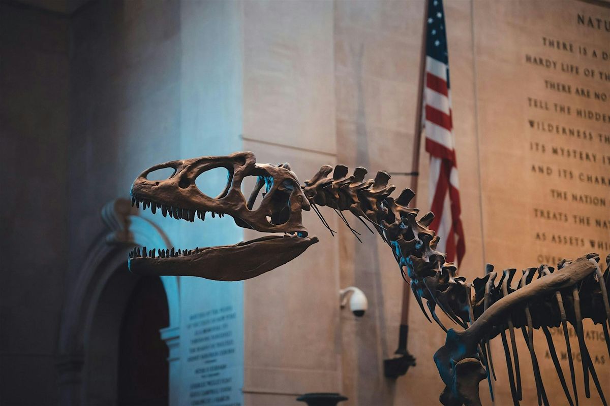 Visiting American Museum of Natural History