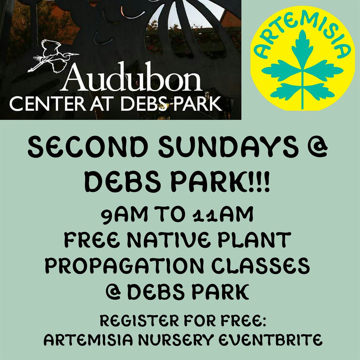 Seedy Sunday Free Native Plant Workshop