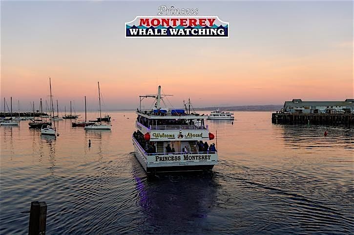Sunset Cruise on Monterey Bay - AL & Friends Benefit