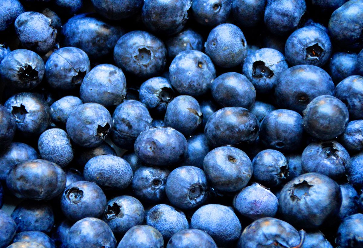 Blueberry Fest - Melbourne - 4th Annual 