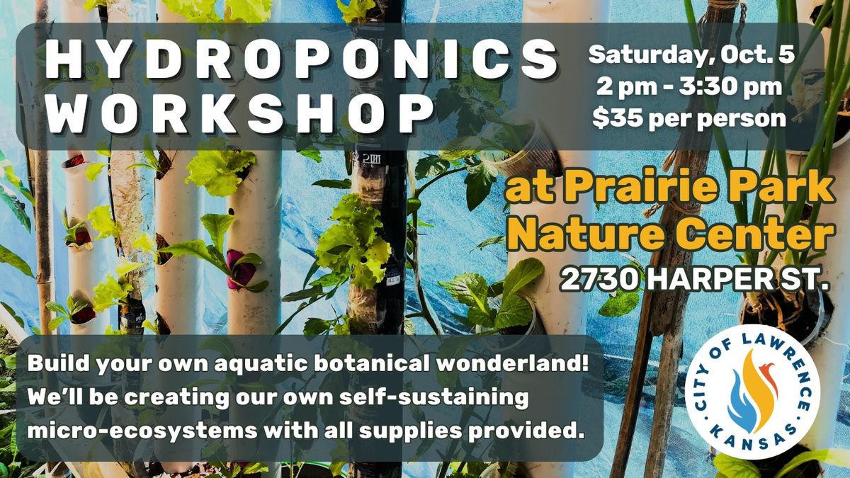 Hydroponics Workshop