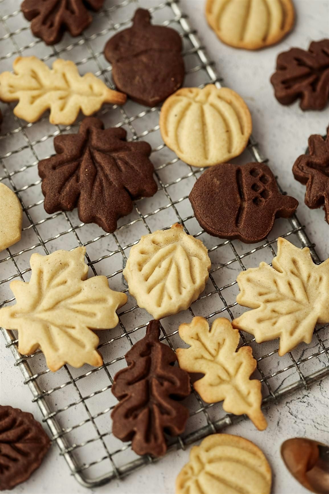 Fall Cookie Design Masterclass