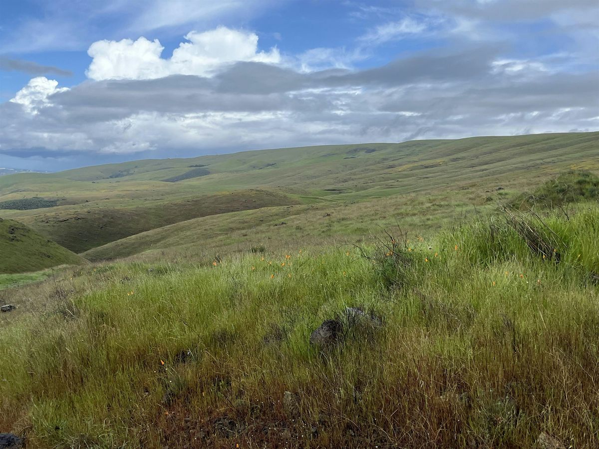 BioBlitz at Spreckels Hill