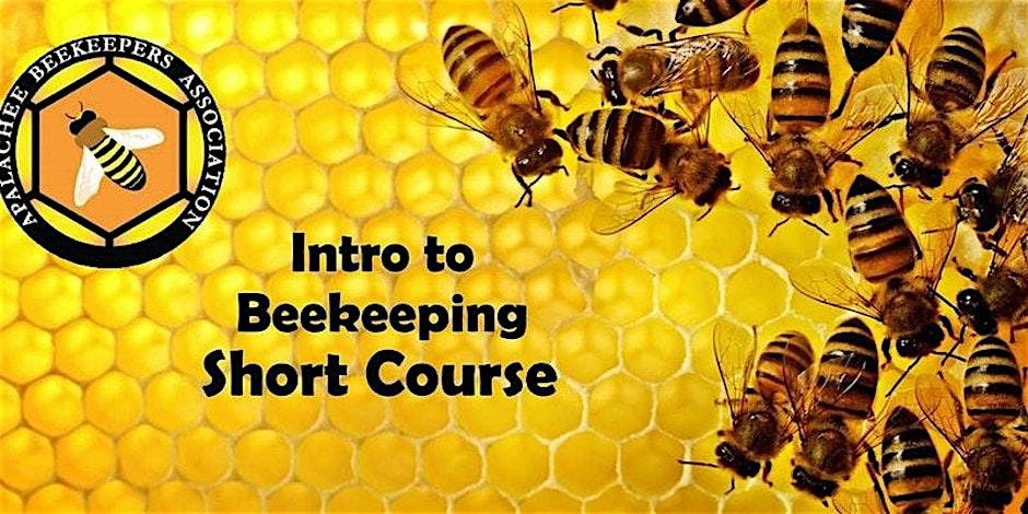 2025 Intro to Beekeeping Short Course