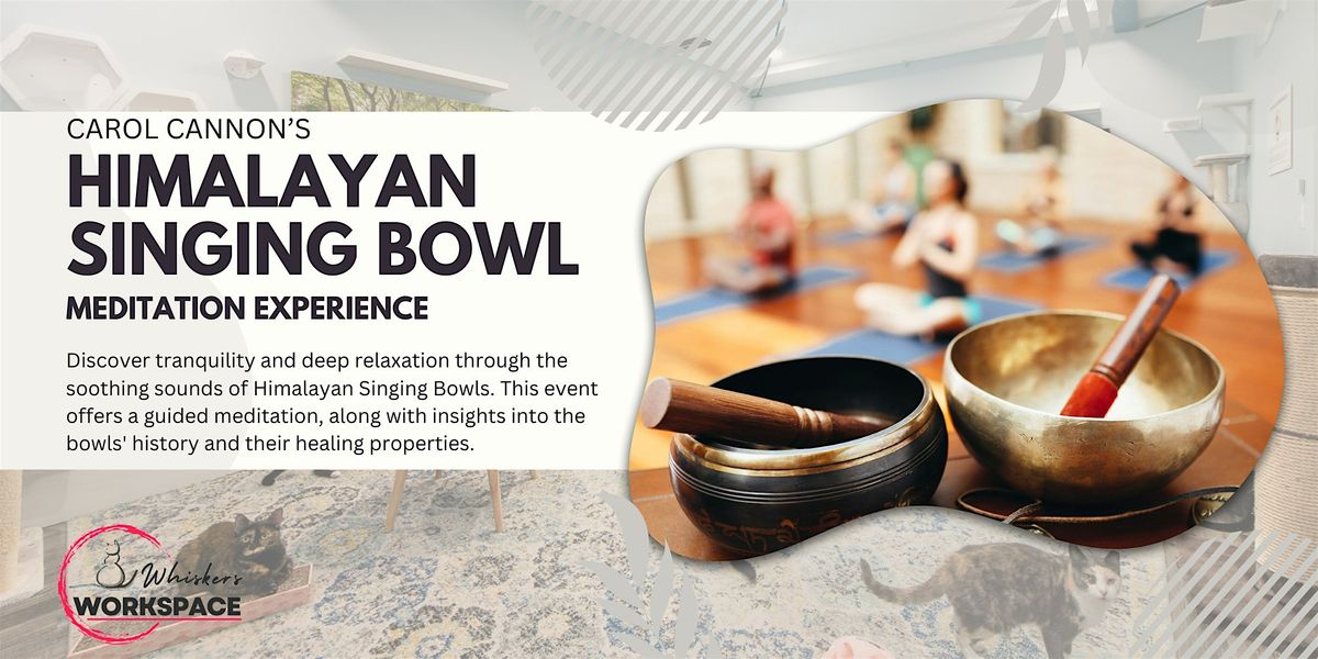 Himalayan Singing Bowl Meditation Experience (Sound Bath) with cats