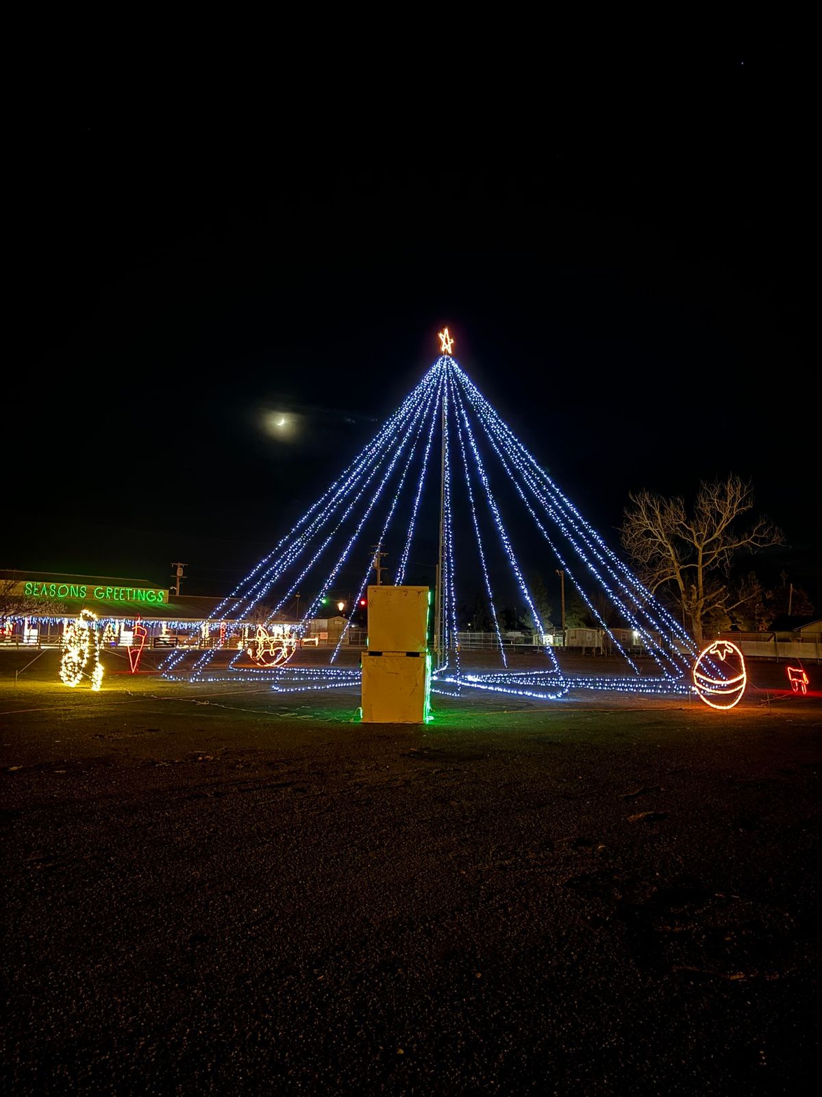 Avenue of Lights