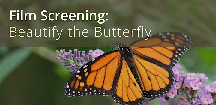 Beautify the Butterfly: Film Screening