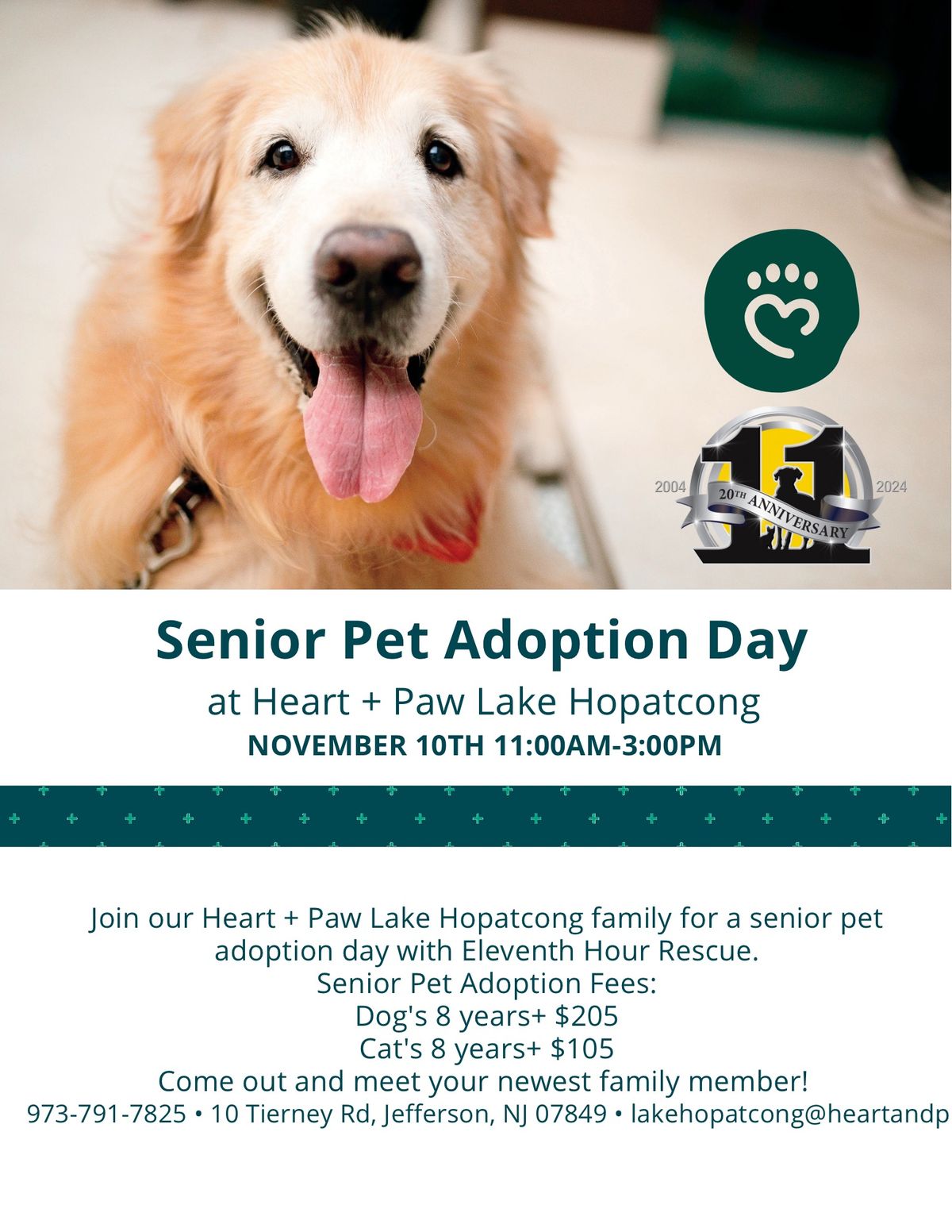 EHR\u2019s Senior Pet Adoption Day at Heart and Paw