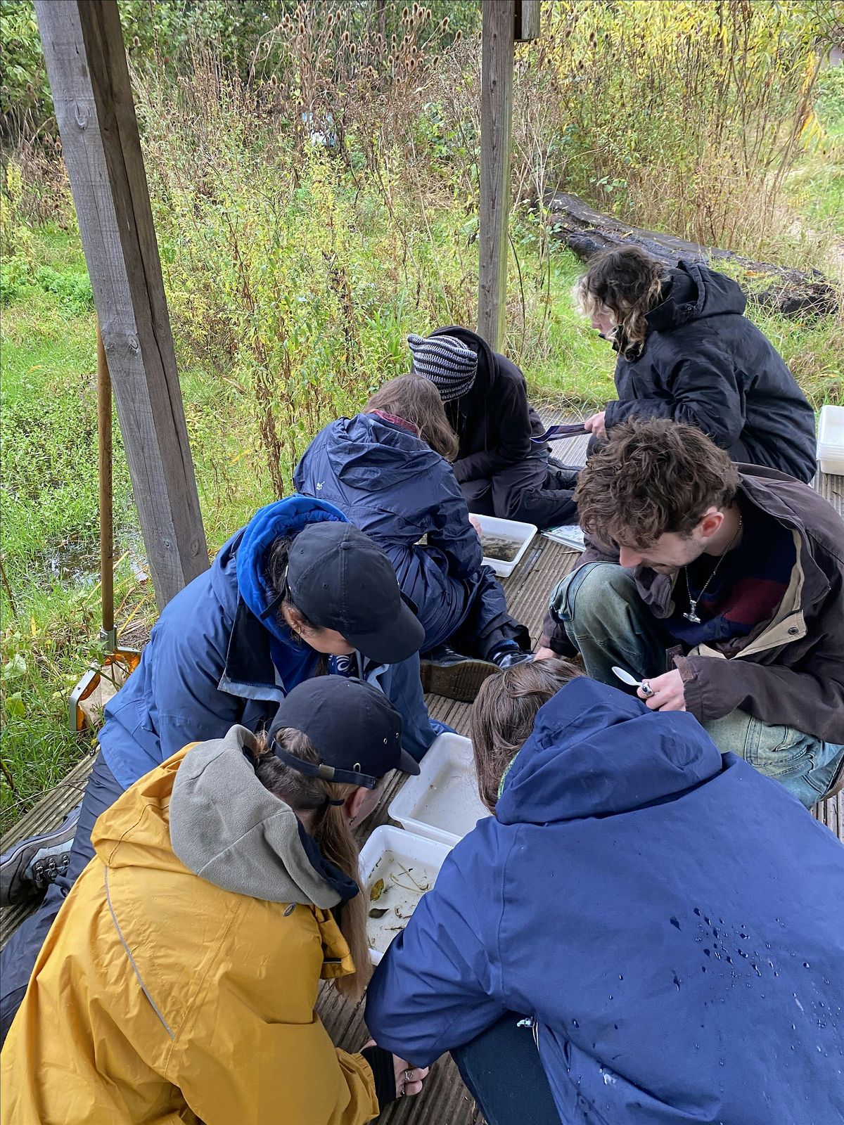 Youth Event: An Introduction to Pond Ecology