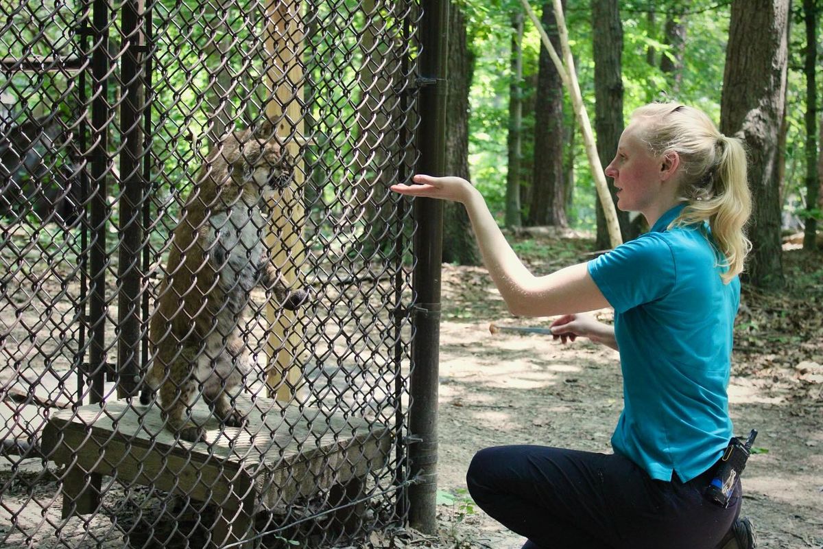 Animal Training & Enrichment Behind-the-Scenes Tour