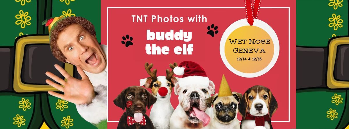 TNT Buddy the Elf Photos - Wet Nose