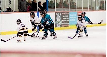North York Knights Skills Session (Fall)