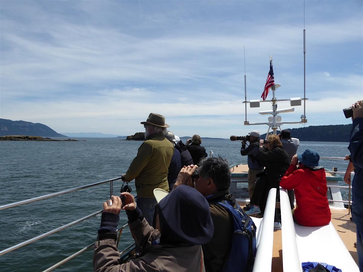 Salish Sea Open Water Birding & Wildlife Cruise, By San Juan Cruises