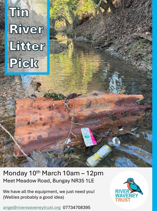 Tin River Litter Pick