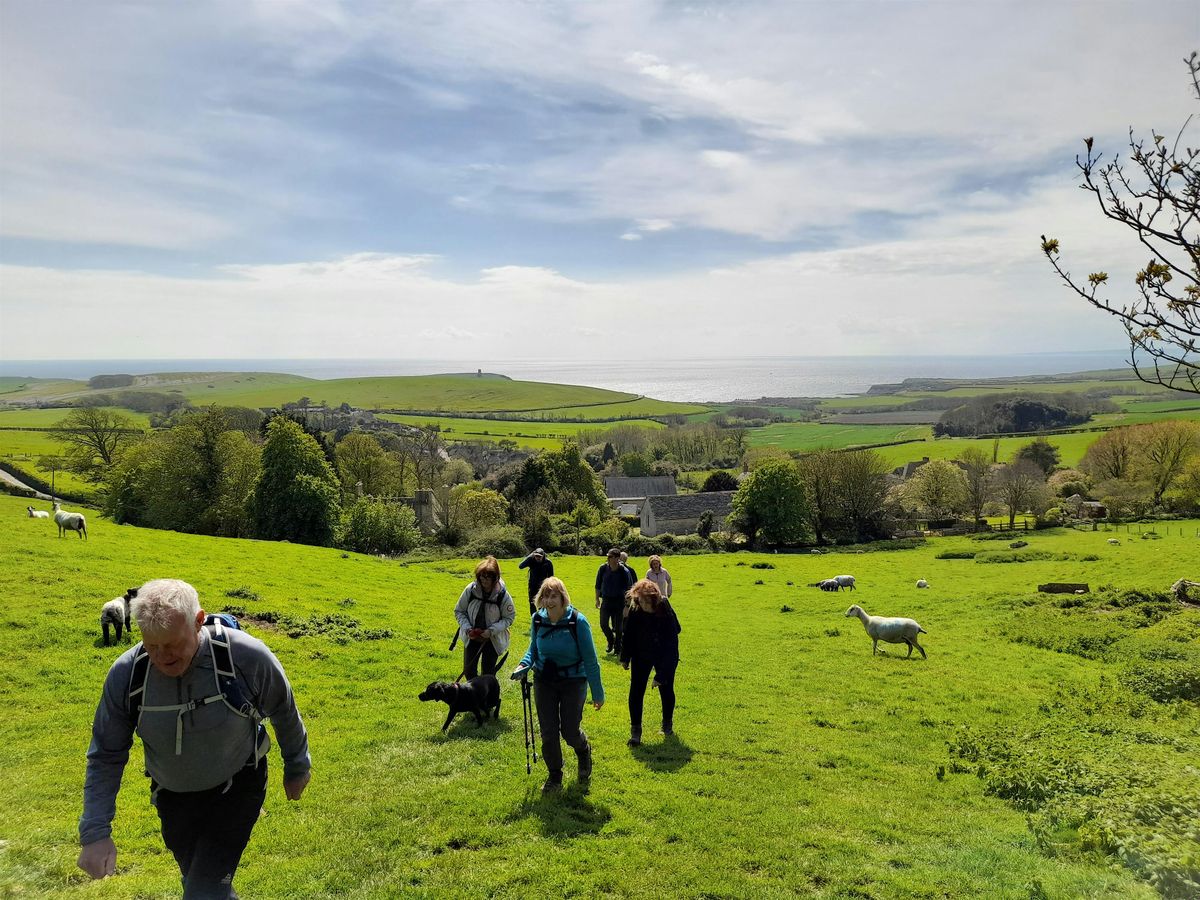 SWCPA Weekend walks - Swyre Head and Kimmeridge circular
