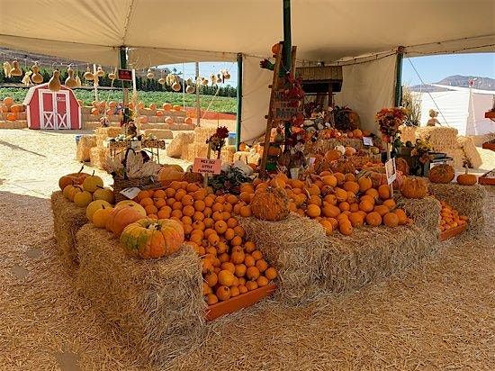 Pumpkin Station Rancho Bernardo