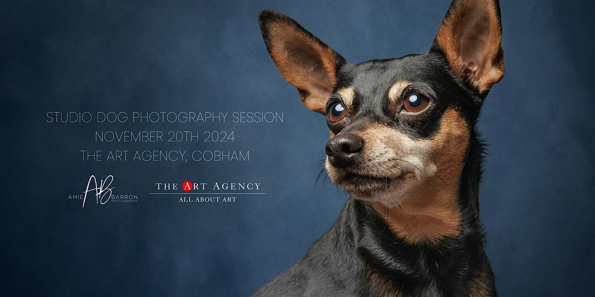 Studio Dog Photography Session at The Art Agency, Cobham